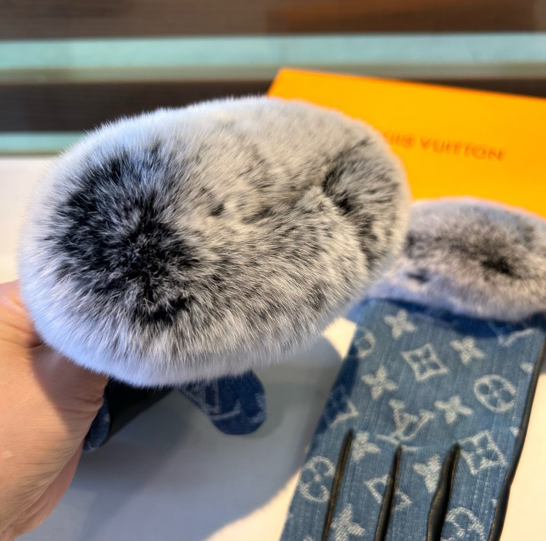 Louis Vuitton Gloves