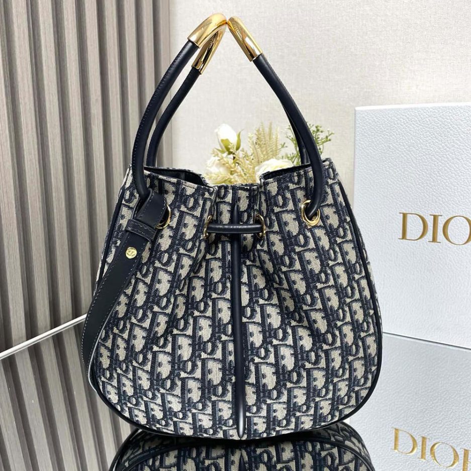 Medium Dior Nolita Bag
