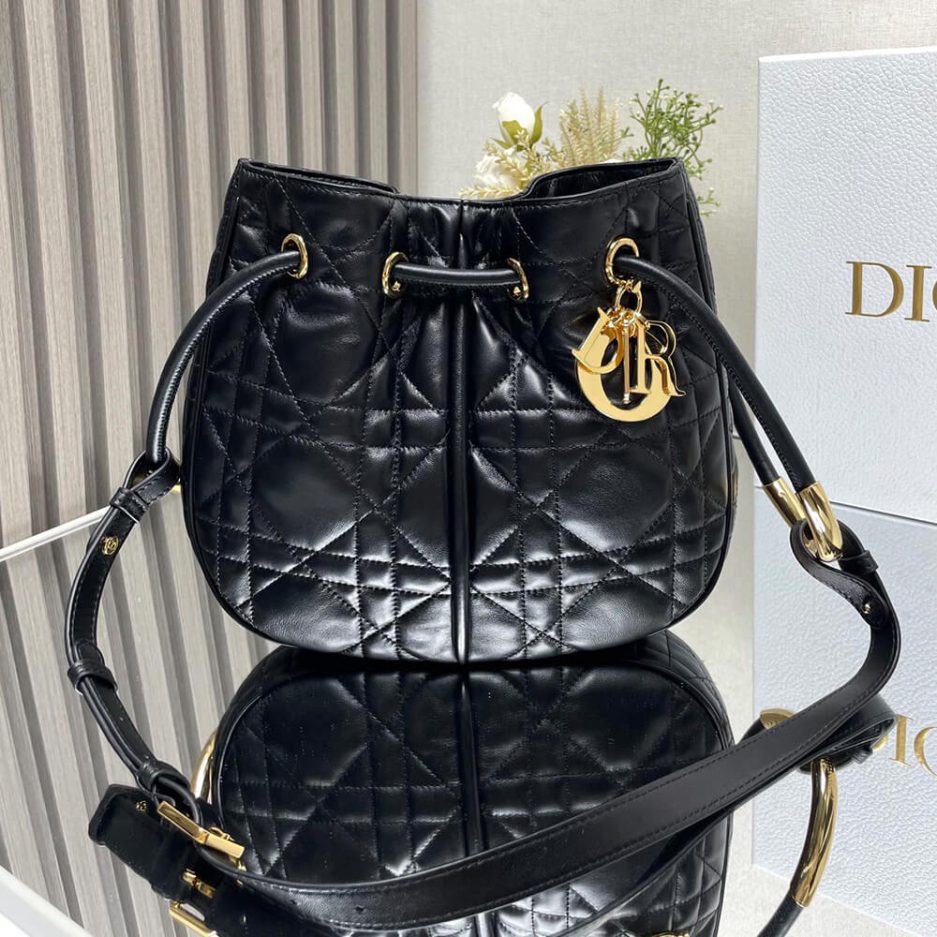 Medium Dior Nolita Bag