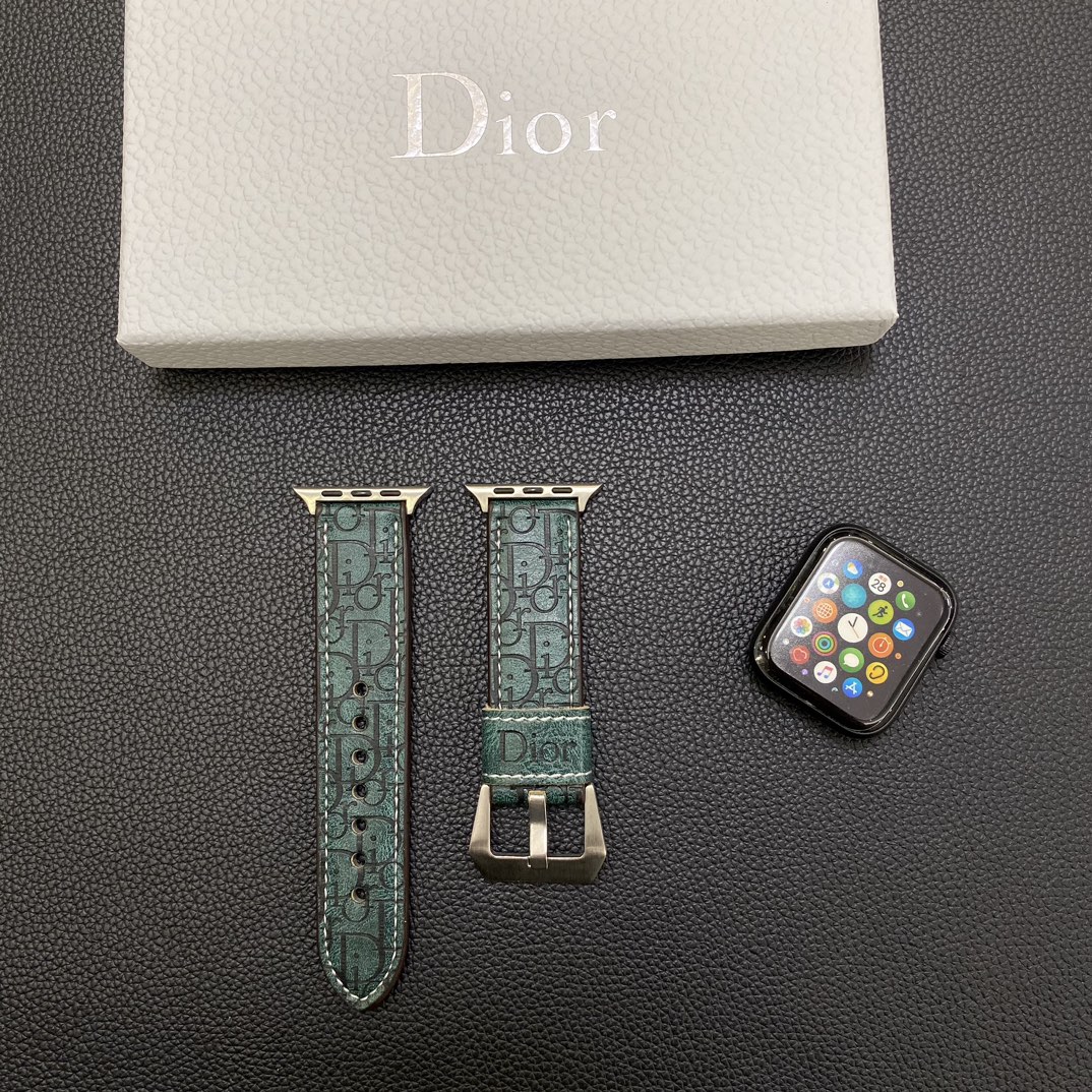 Dior Watchband