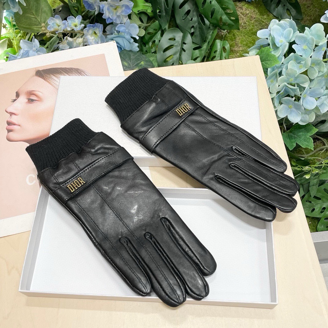Dior Gloves