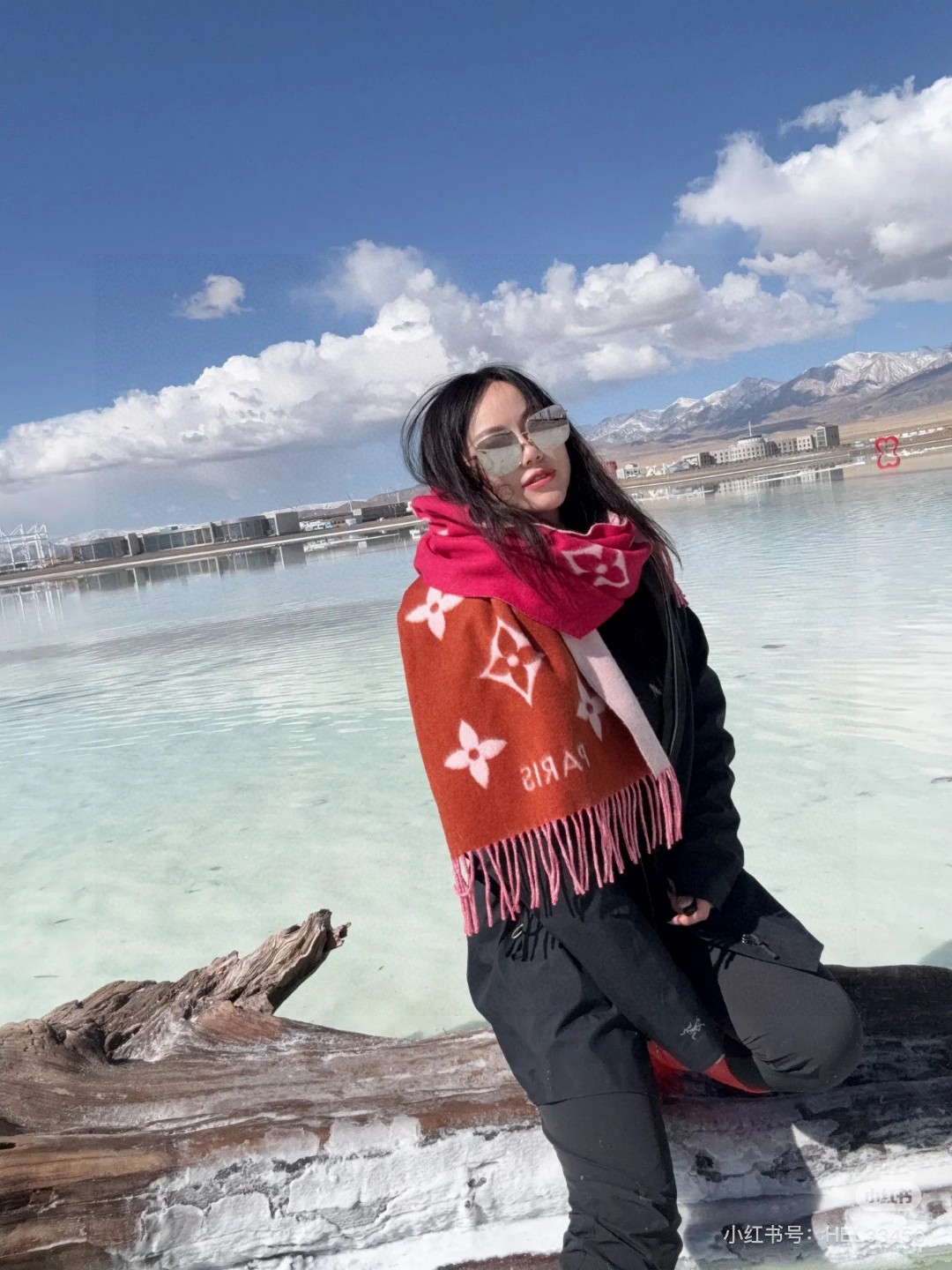 Louis Vuitton Scarves