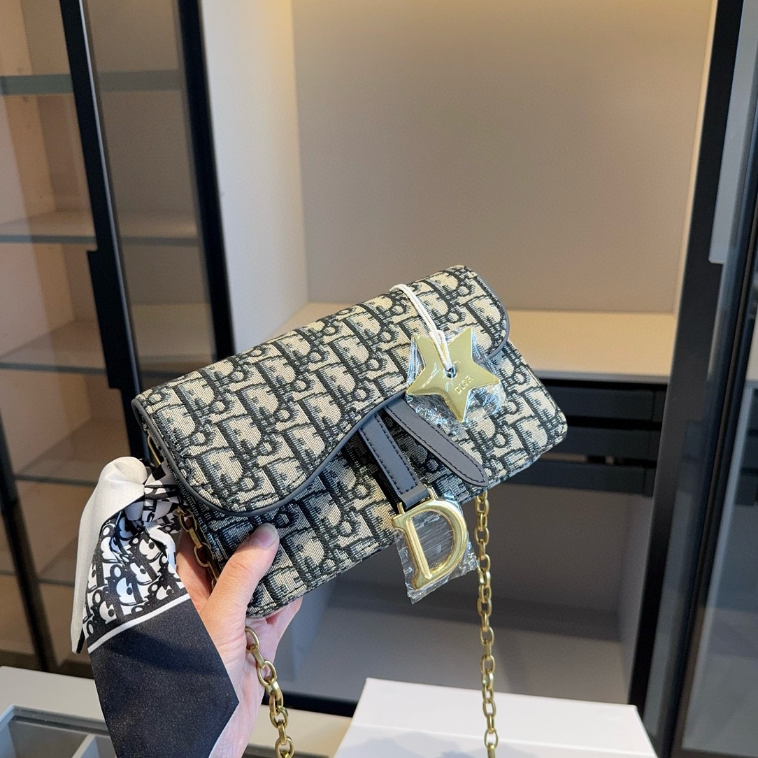 Dior Saddle Woc