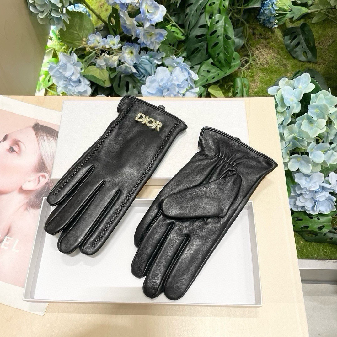 Dior Gloves