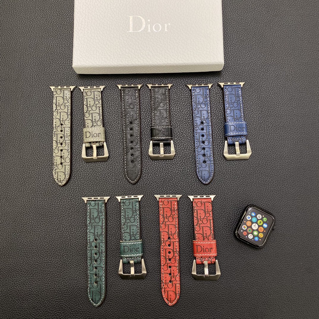 Dior Watchband