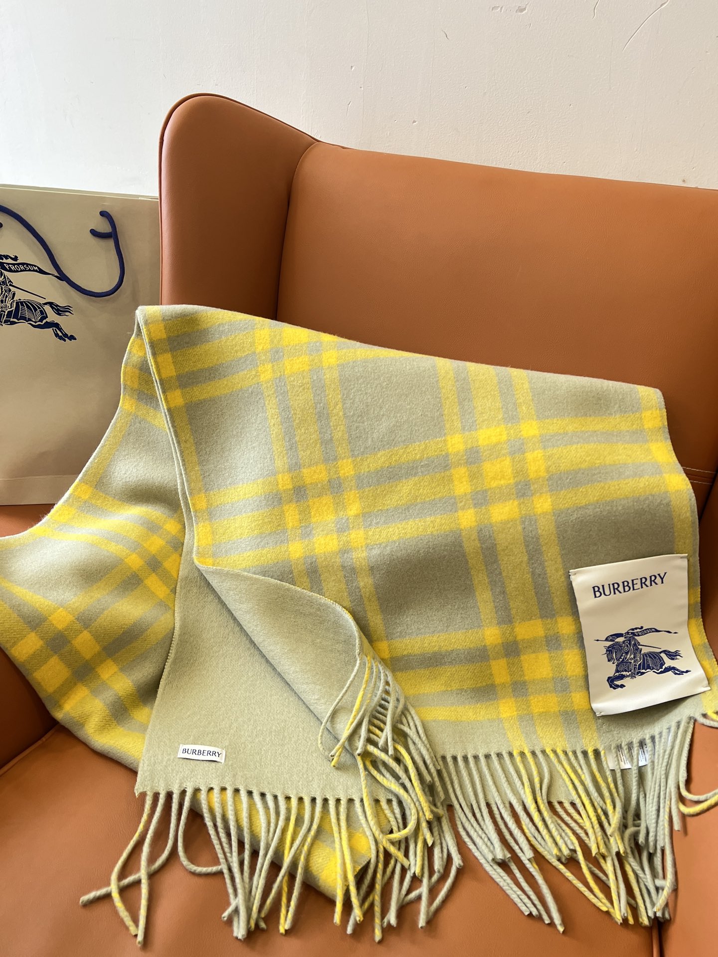 Burberry Scarves