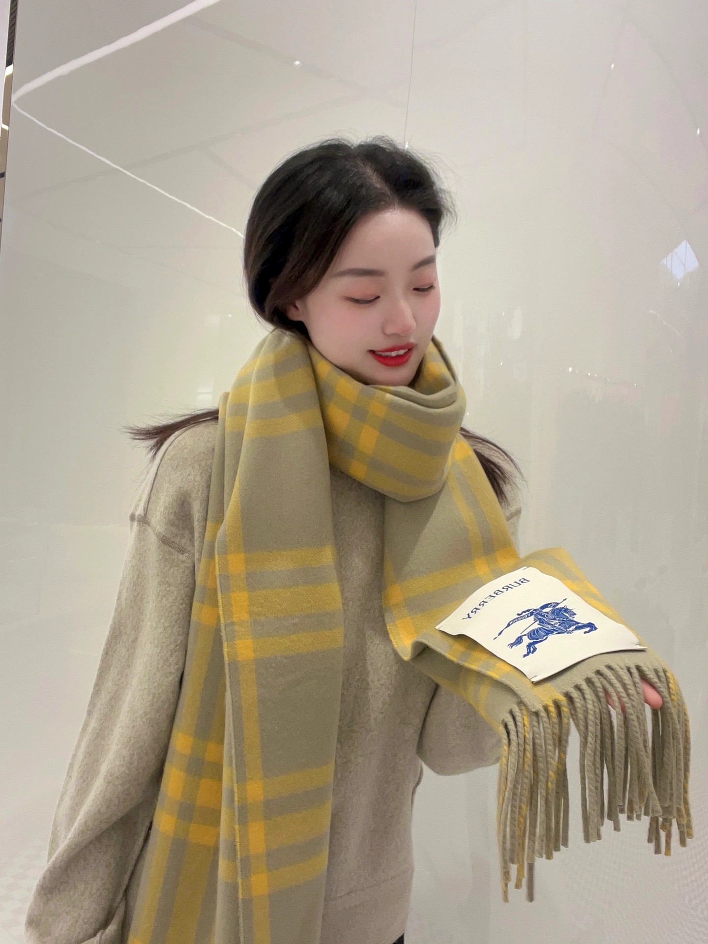 Burberry Scarves