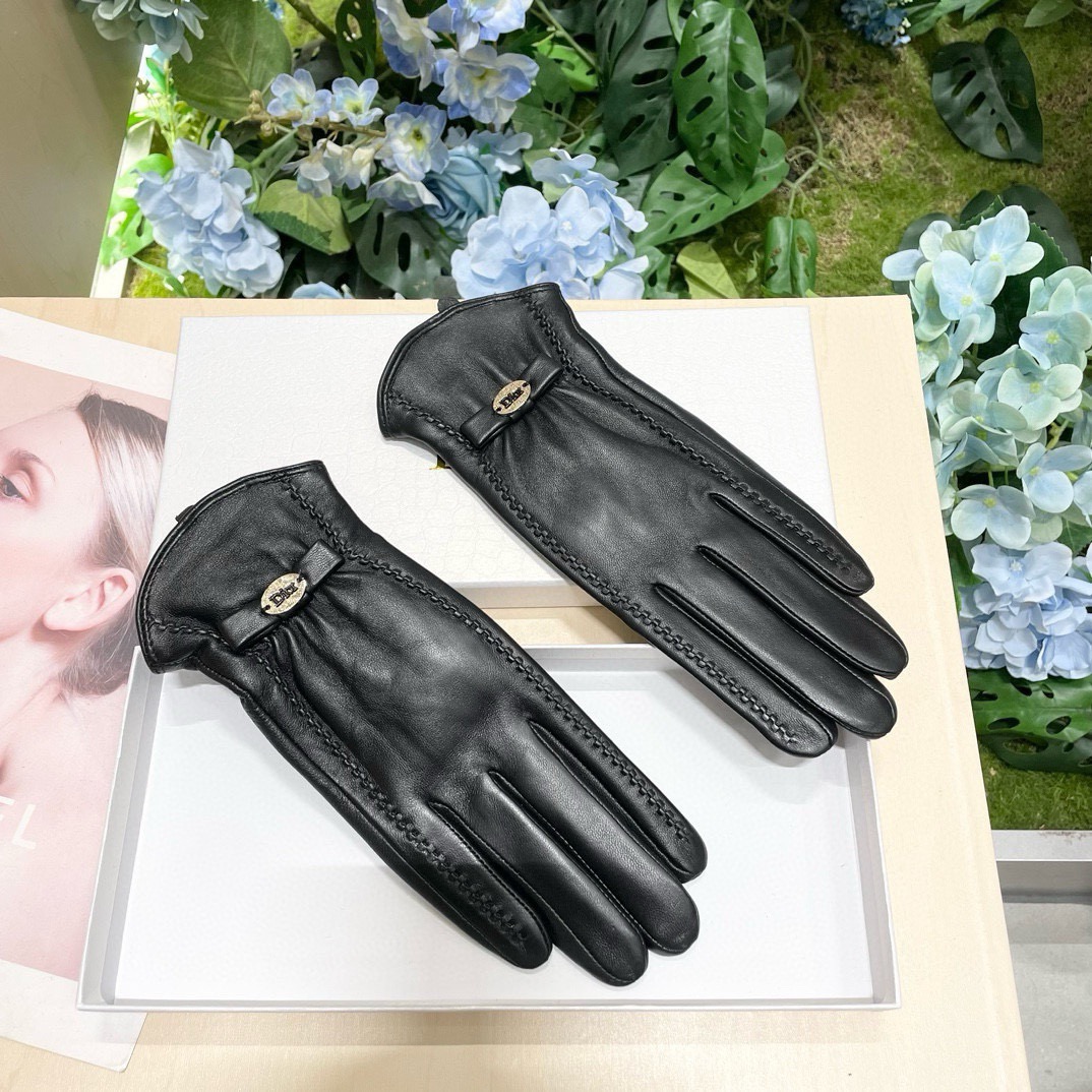 Dior Gloves
