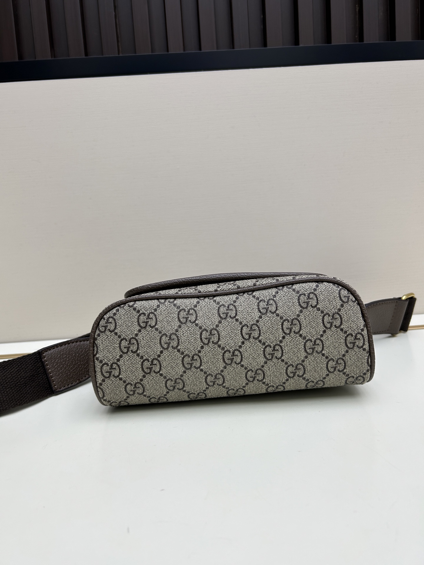 Gucci Ophidia Bag