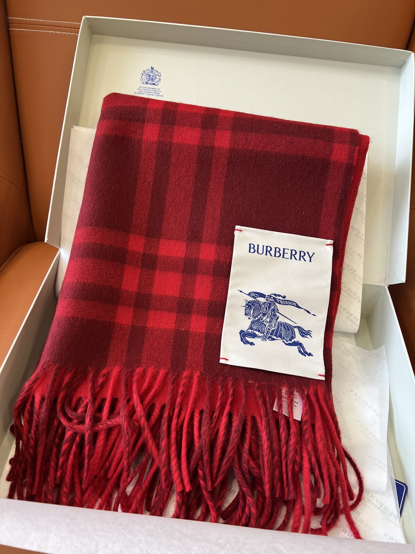 Burberry Scarves