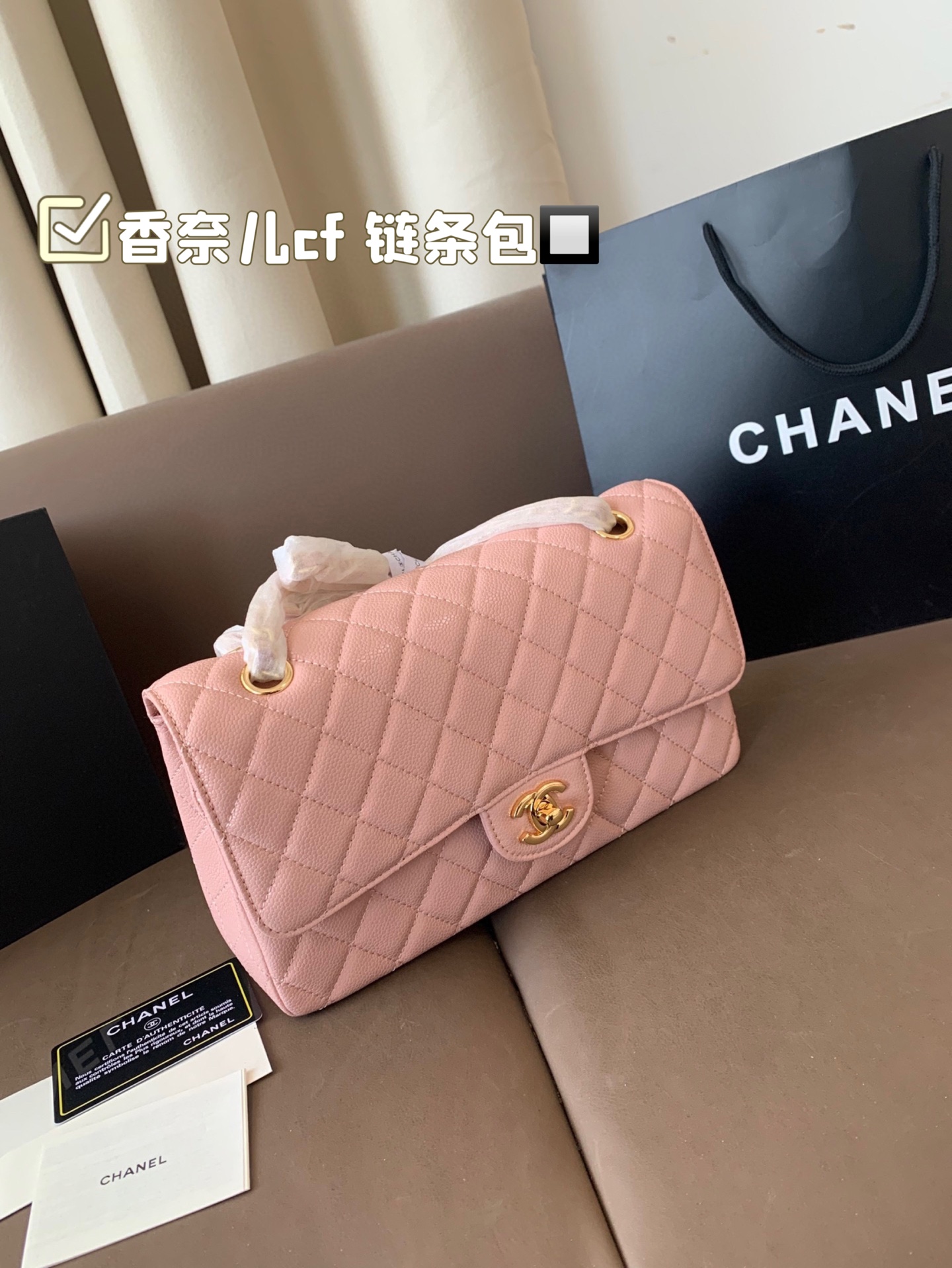 Chanel Classic Flap Bag Handbag