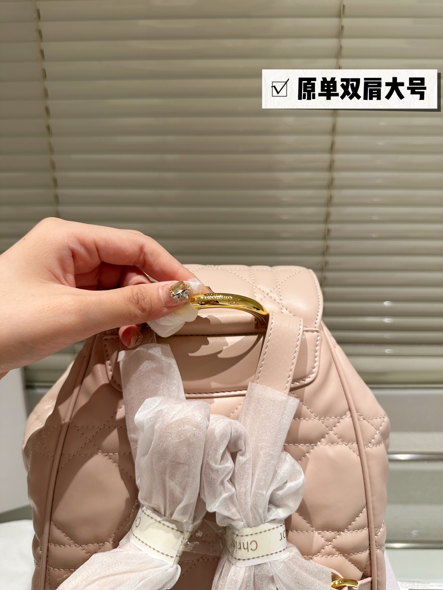 Dior Caro Shoulder Bag