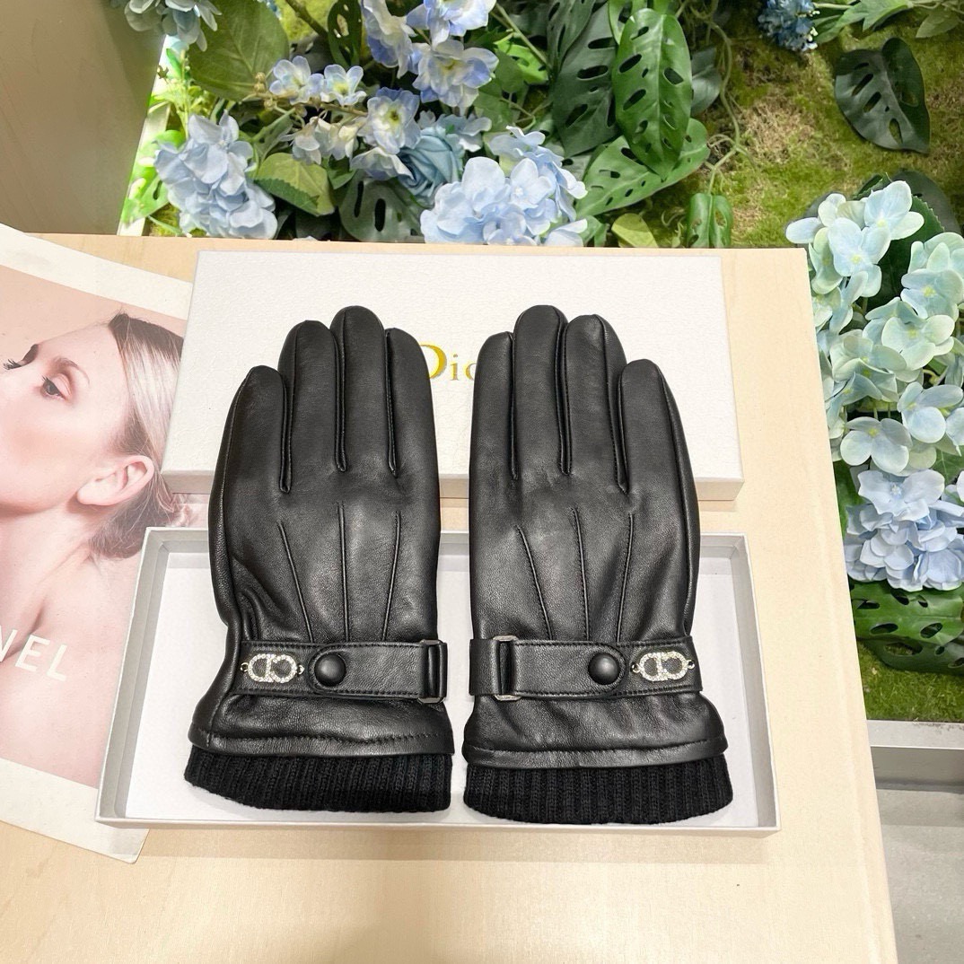 Dior Gloves