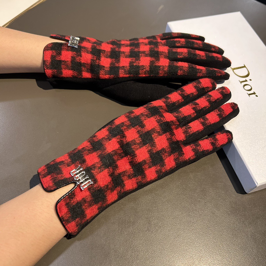 Dior Gloves