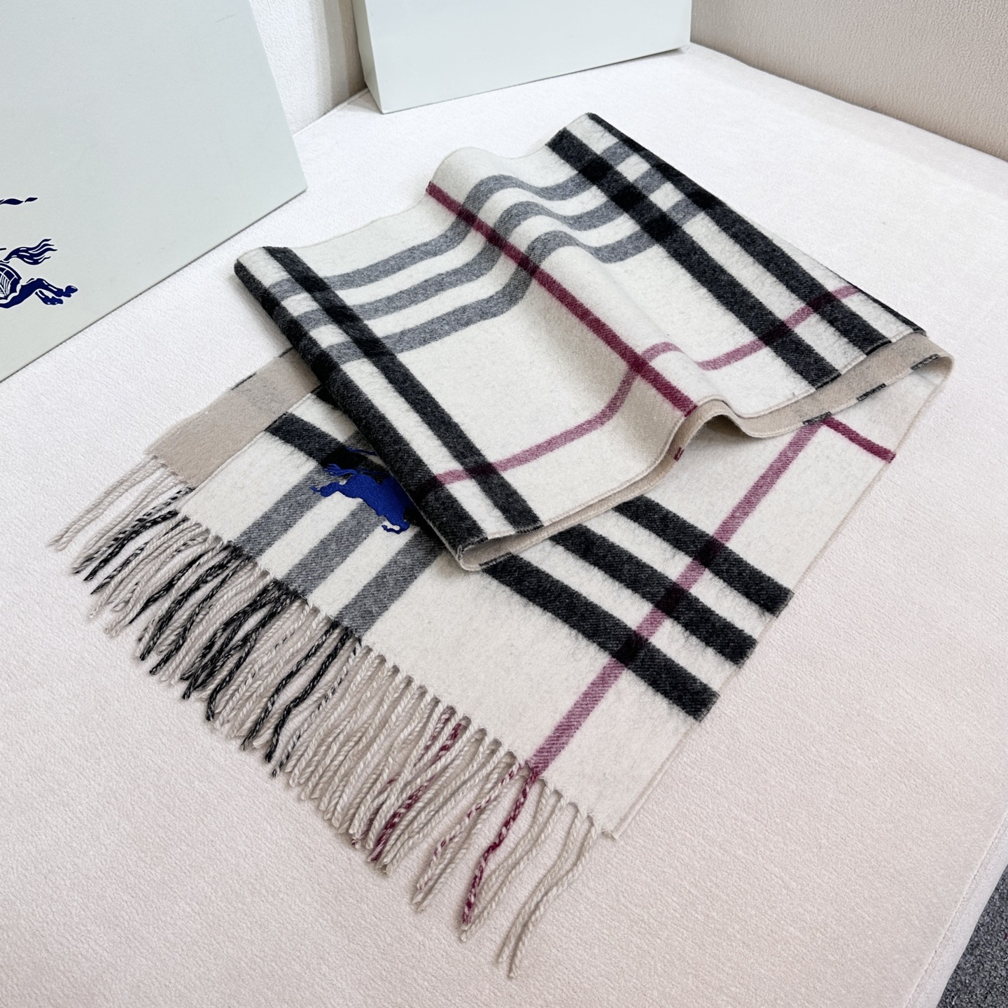 Burberry Scarves