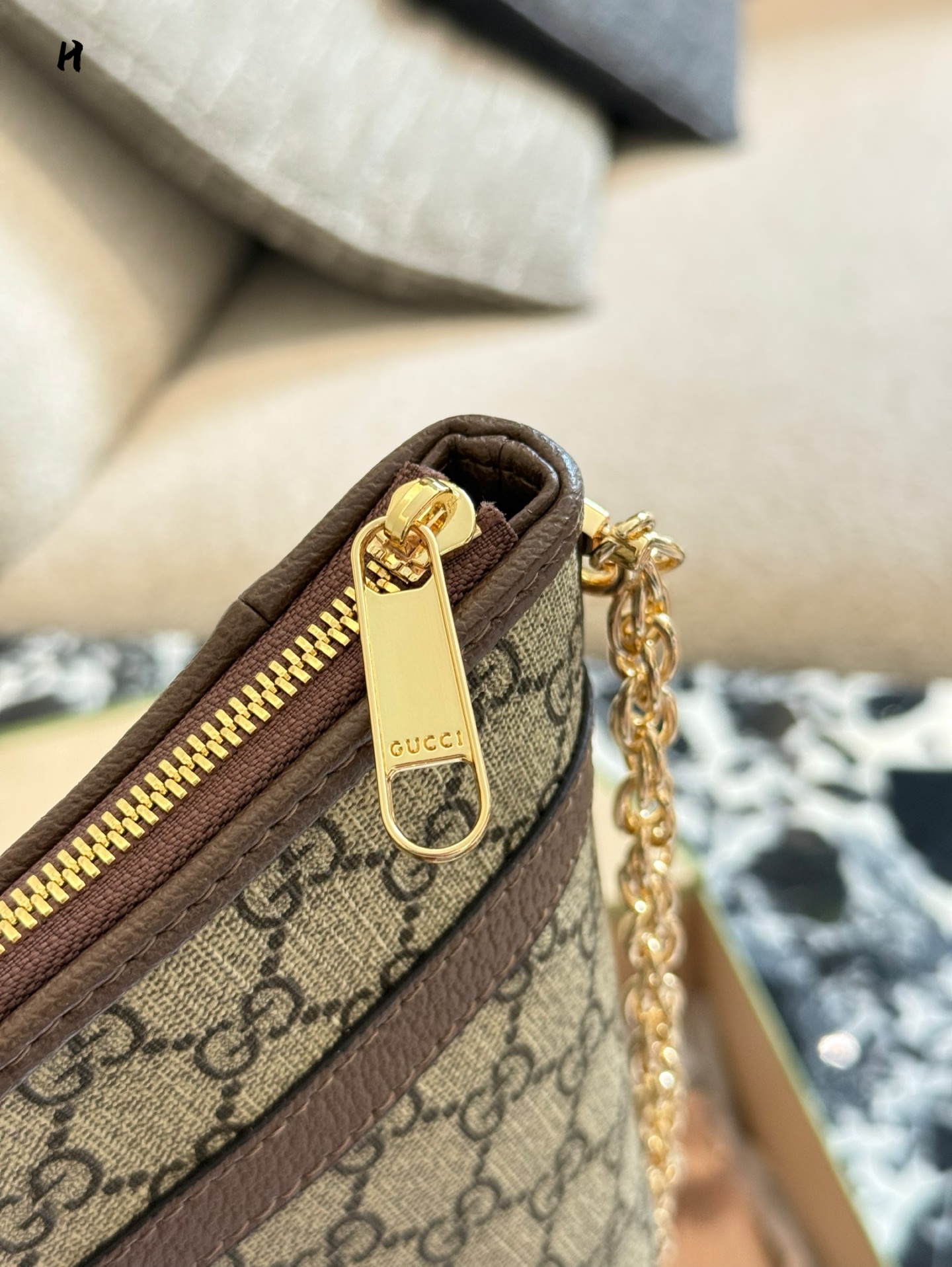 Gucci Ophidia Hobo Bag