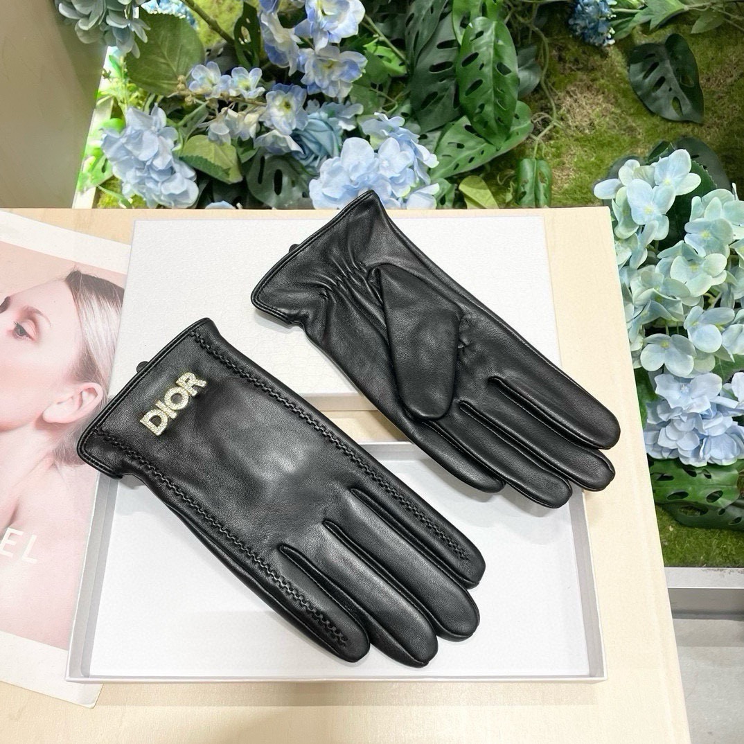 Dior Gloves