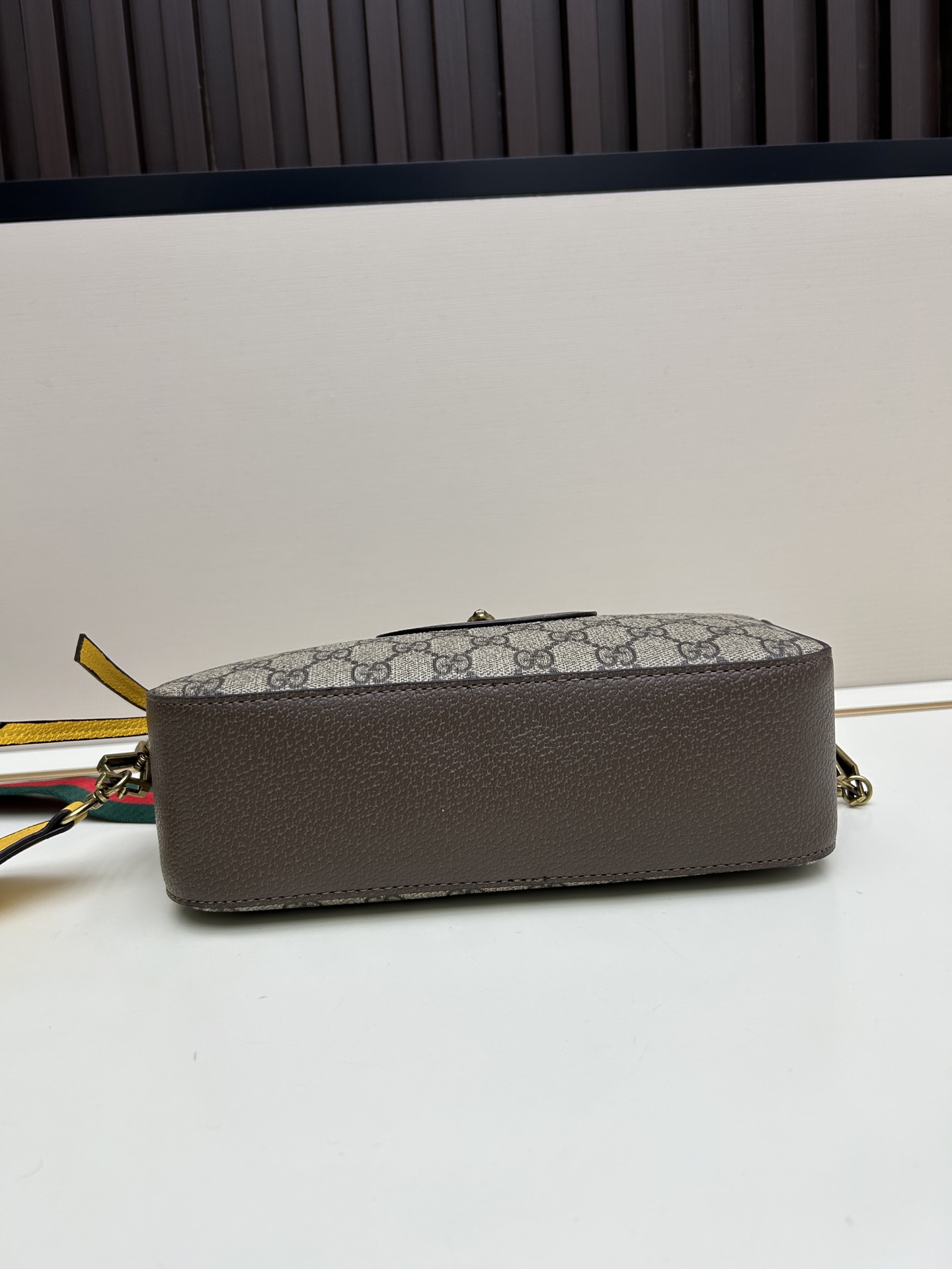 Gucci Ophidia Camera Bag