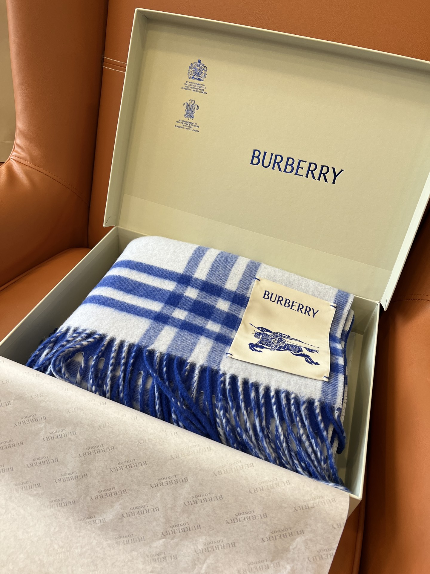 Burberry Scarves