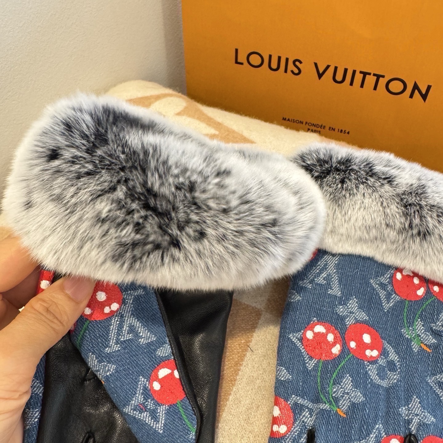 Louis Vuitton Gloves
