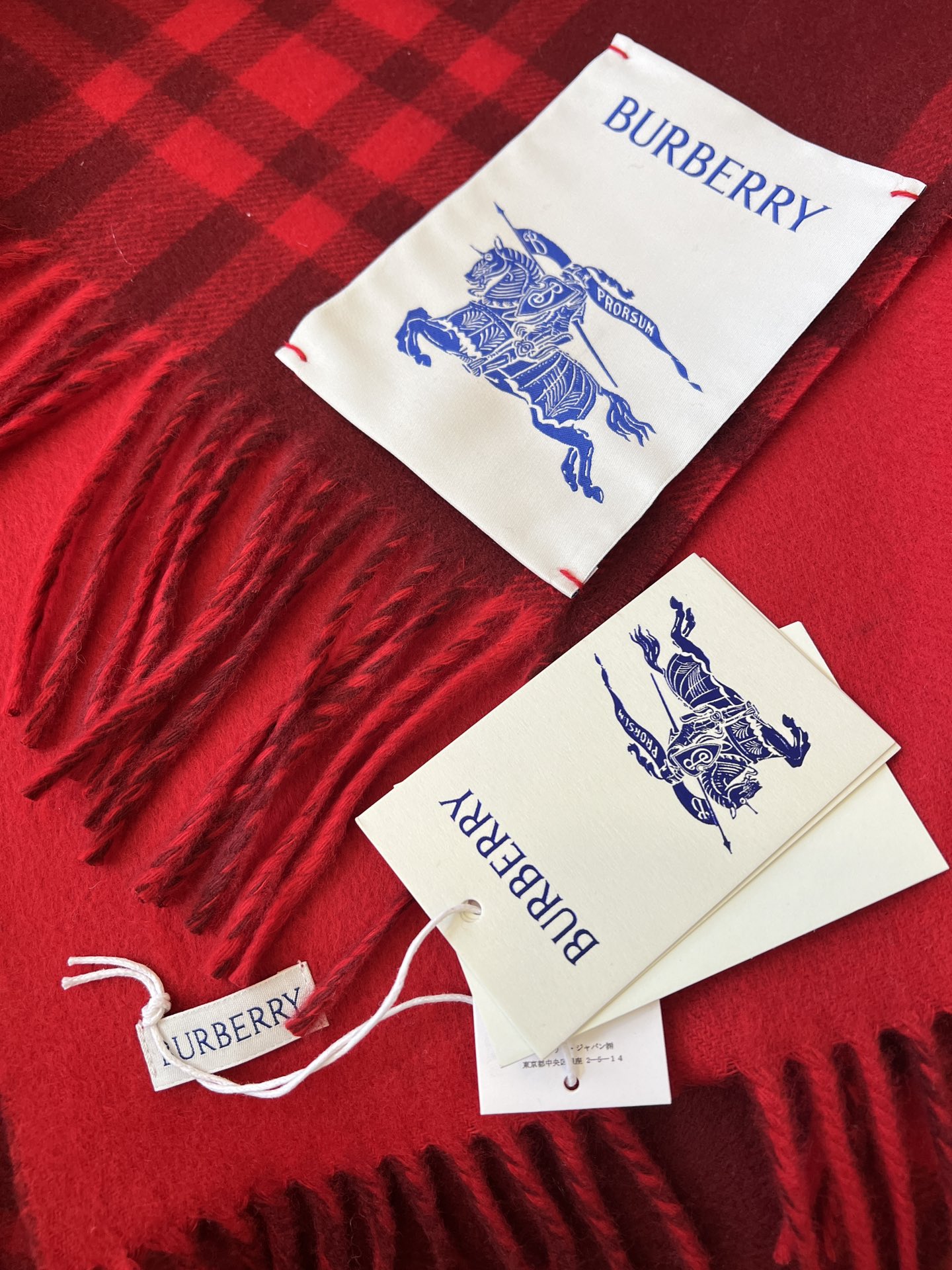 Burberry Scarves