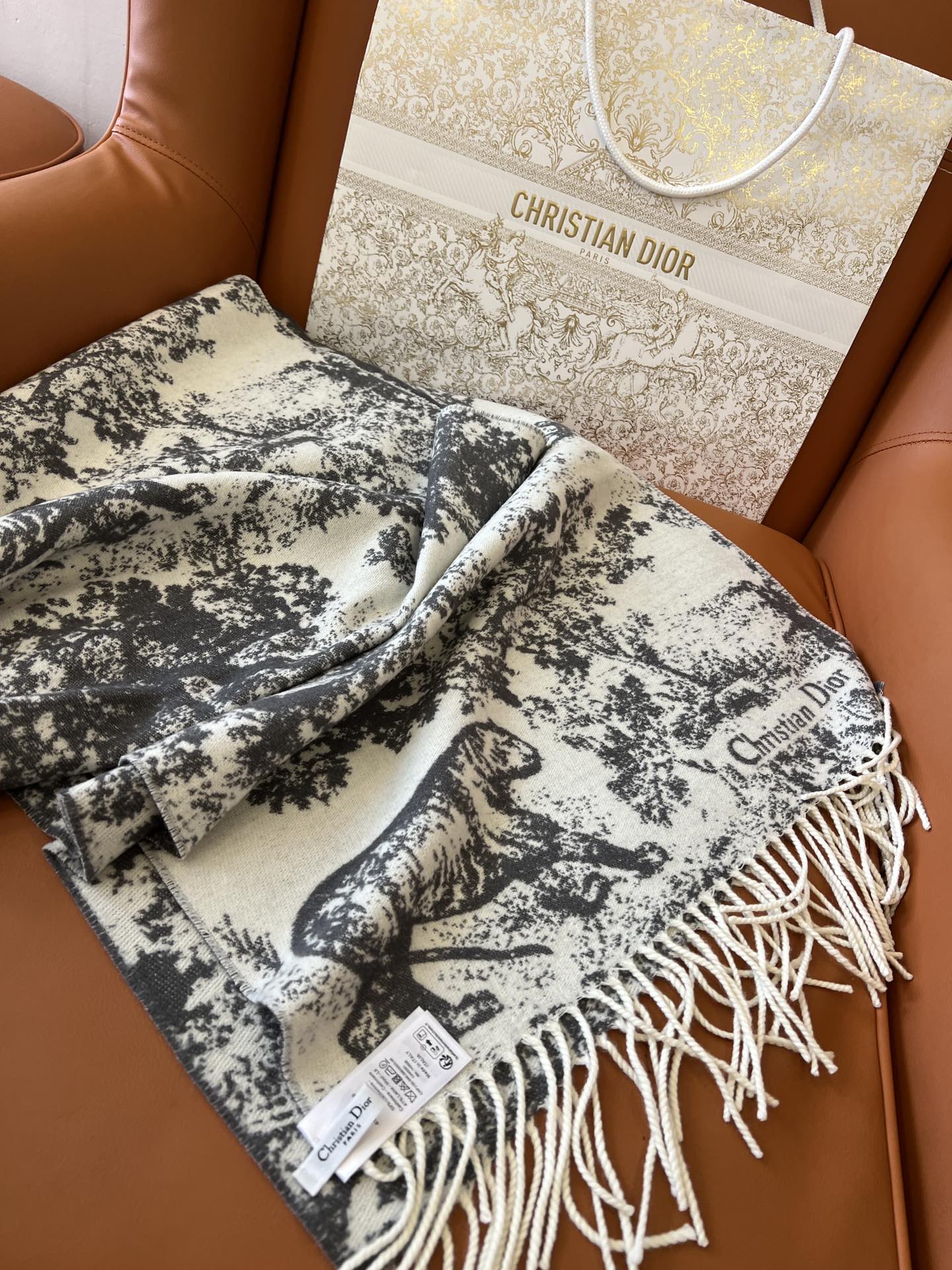 Dior Scarves