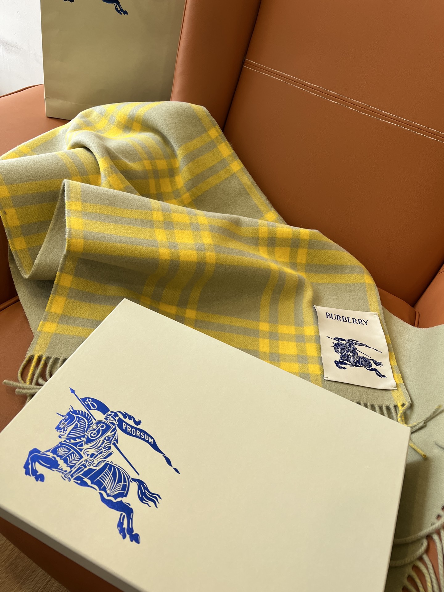 Burberry Scarves