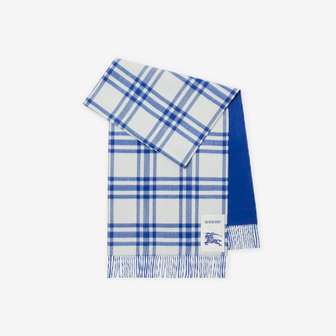 Burberry Scarves