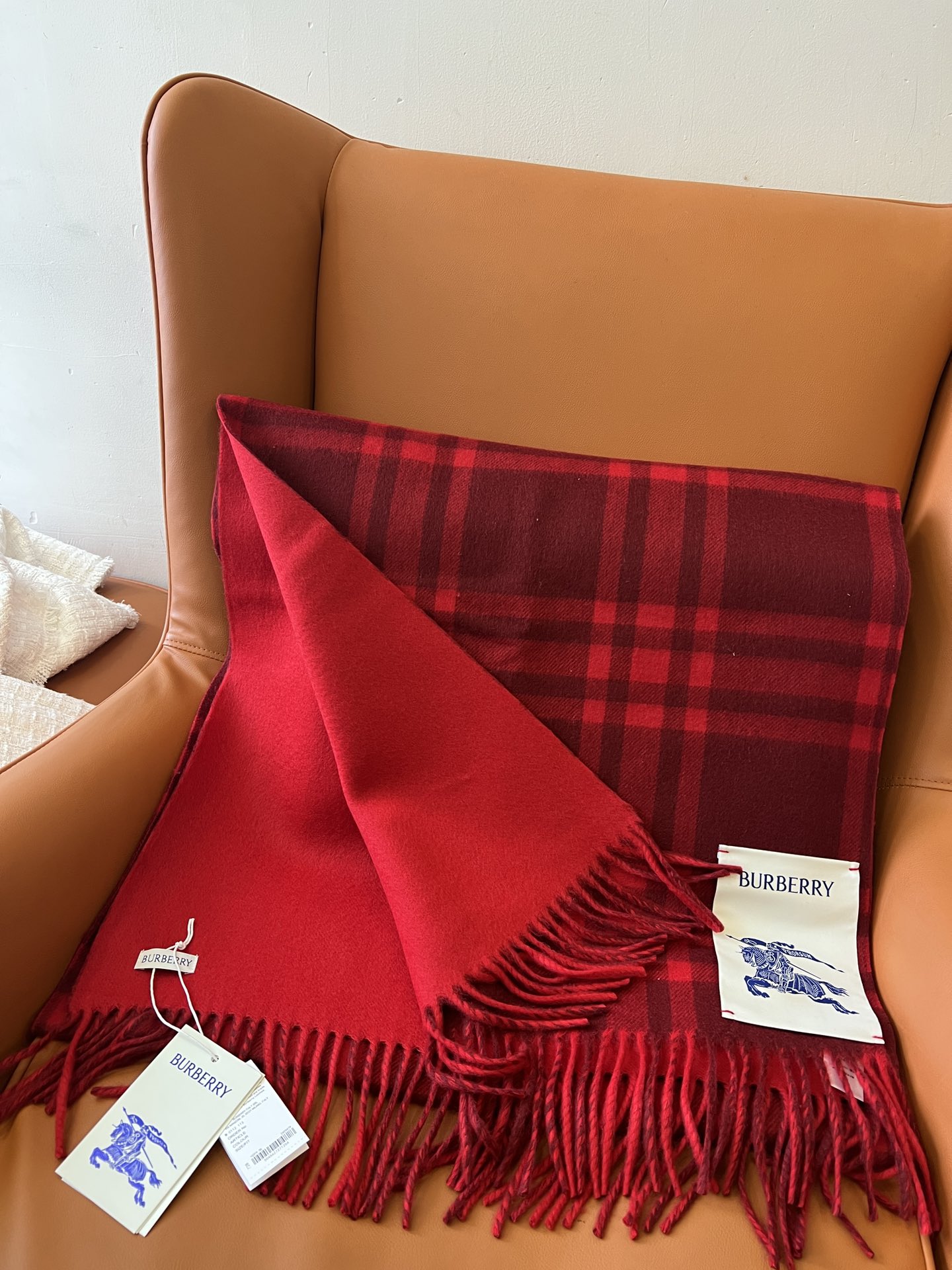 Burberry Scarves