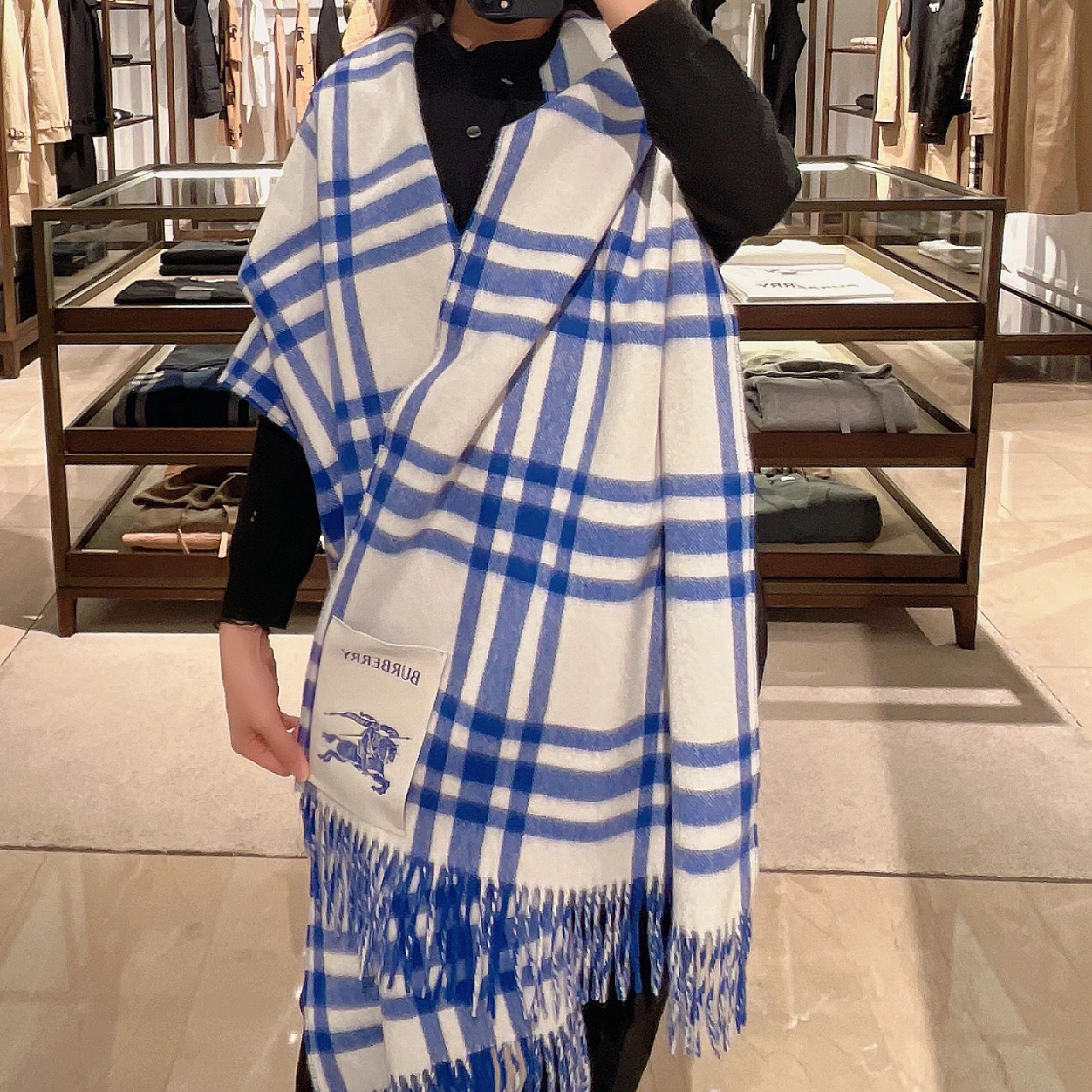 Burberry Scarves