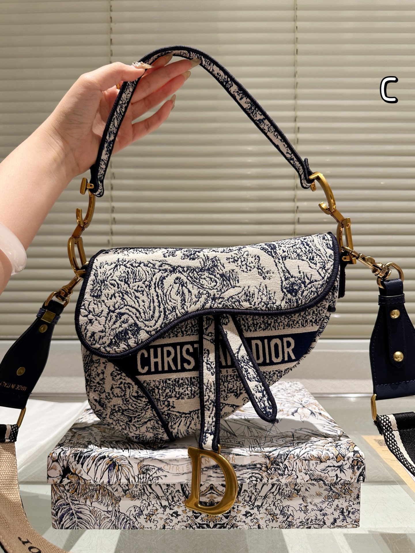 Dior Saddle Bag