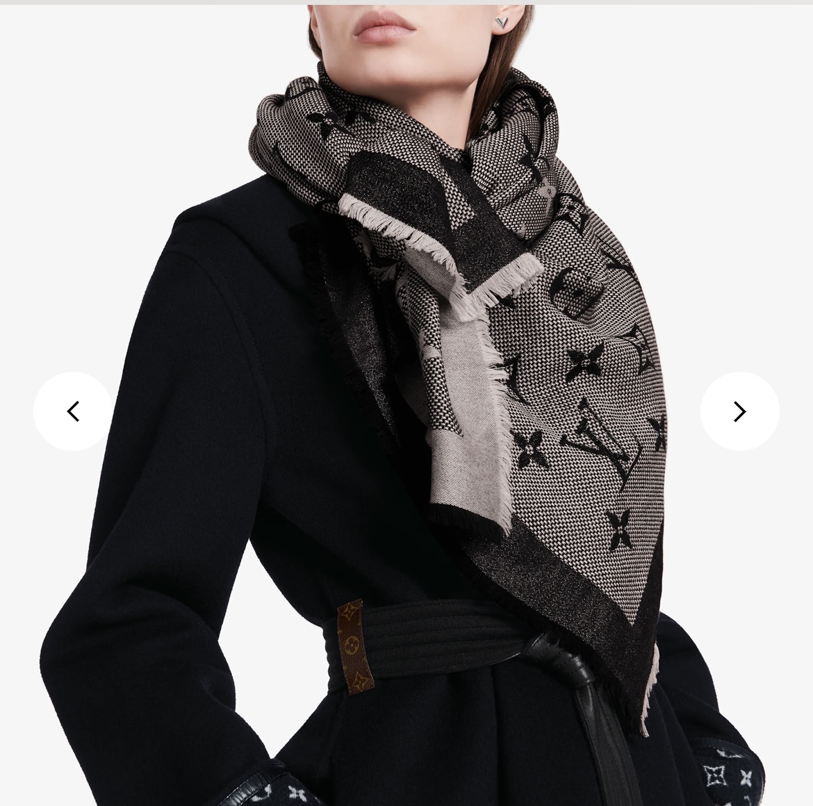 Louis Vuitton Scarves