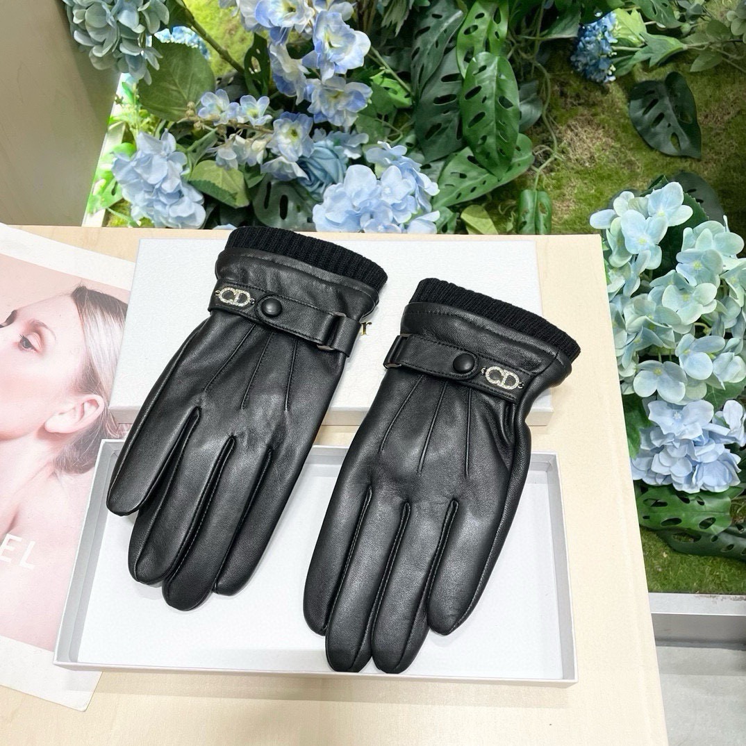Dior Gloves