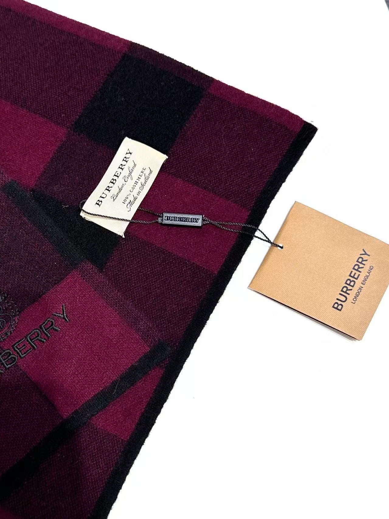 Burberry Scarves
