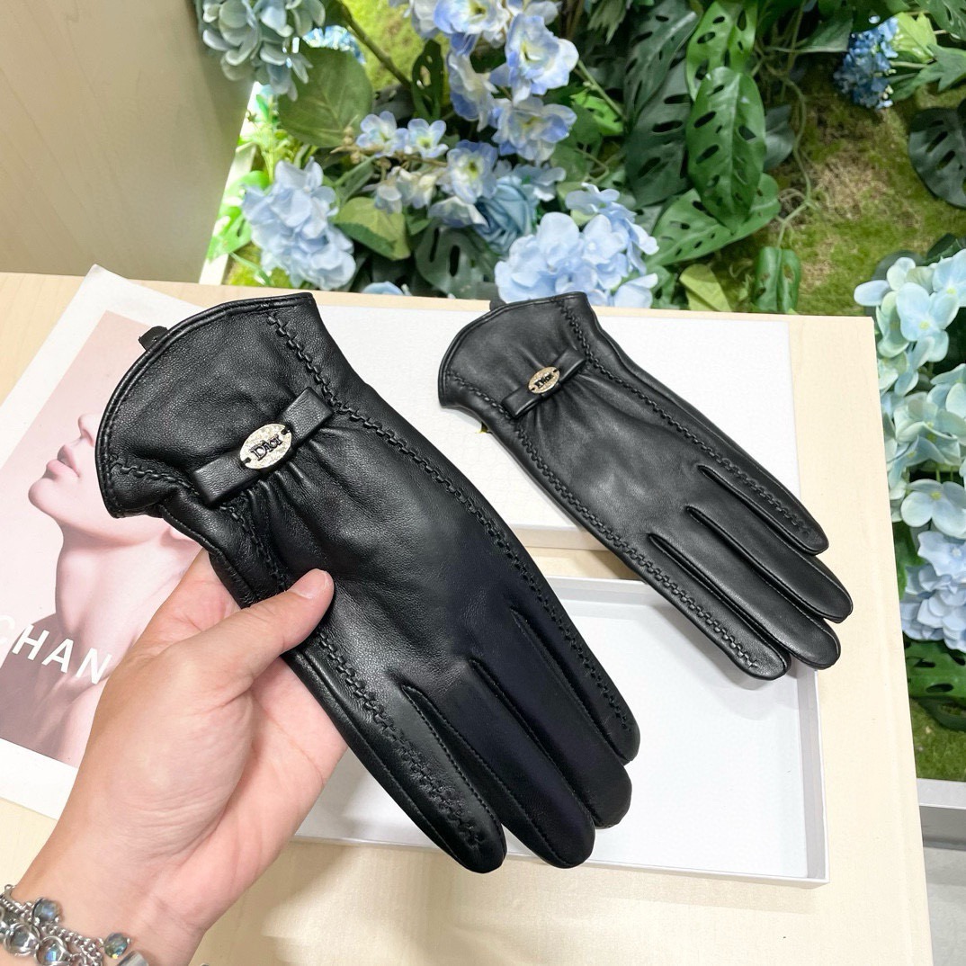 Dior Gloves