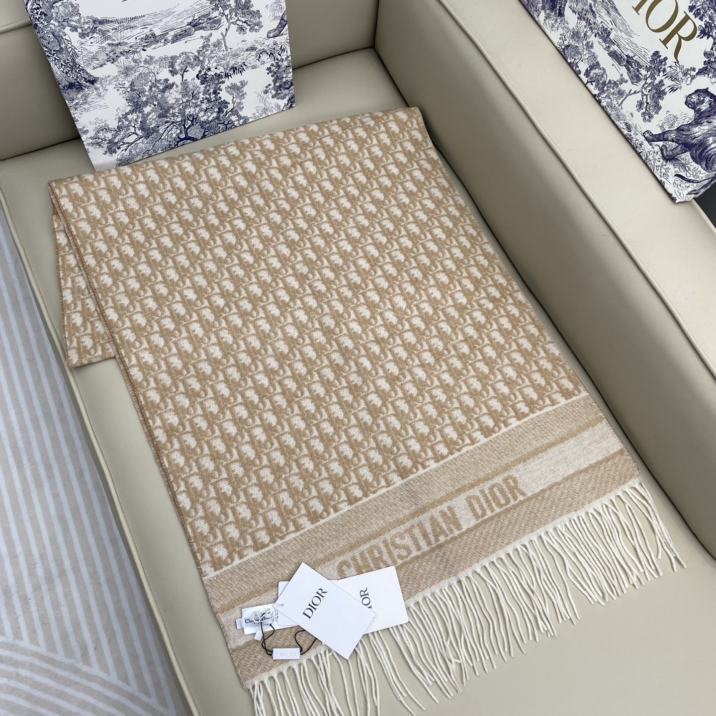 Dior Cashmere Scarf