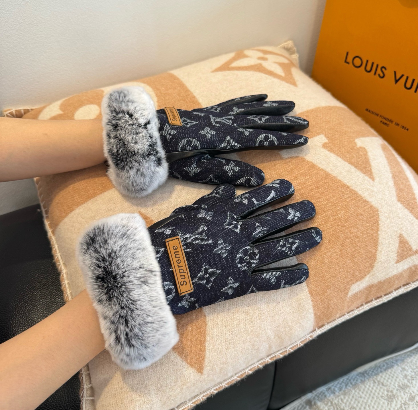 Louis Vuitton Gloves