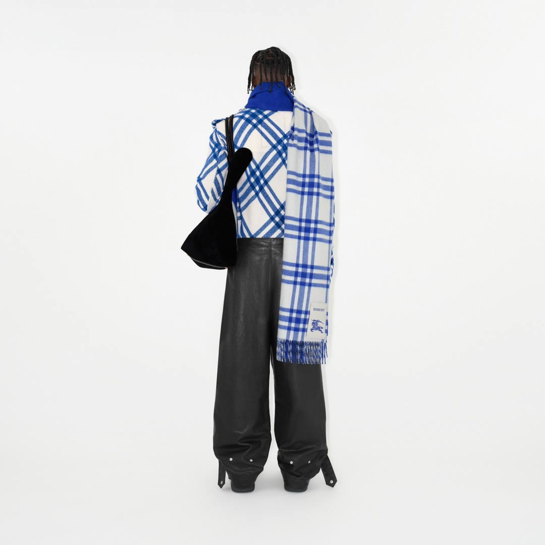 Burberry Scarves