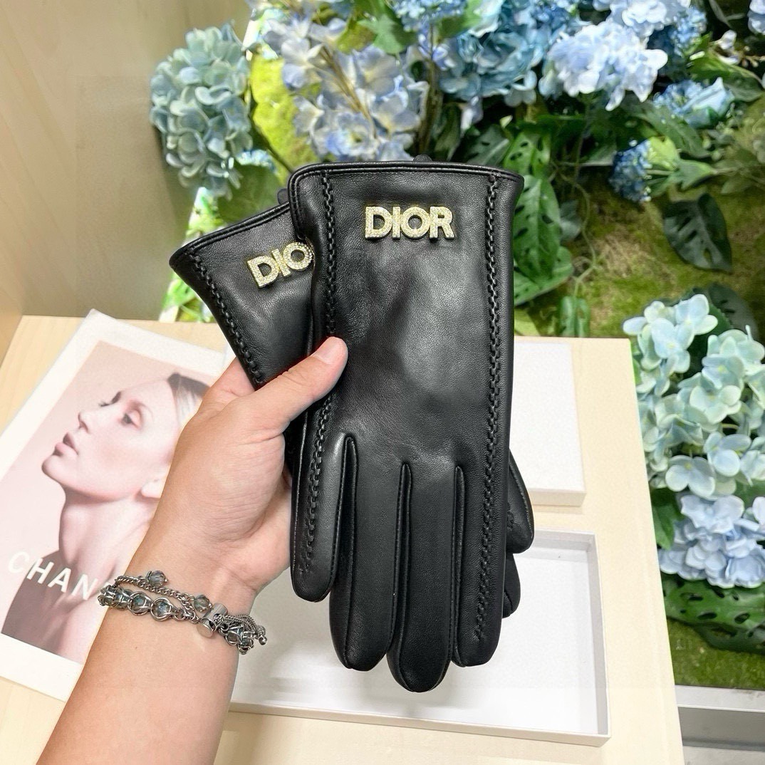 Dior Gloves
