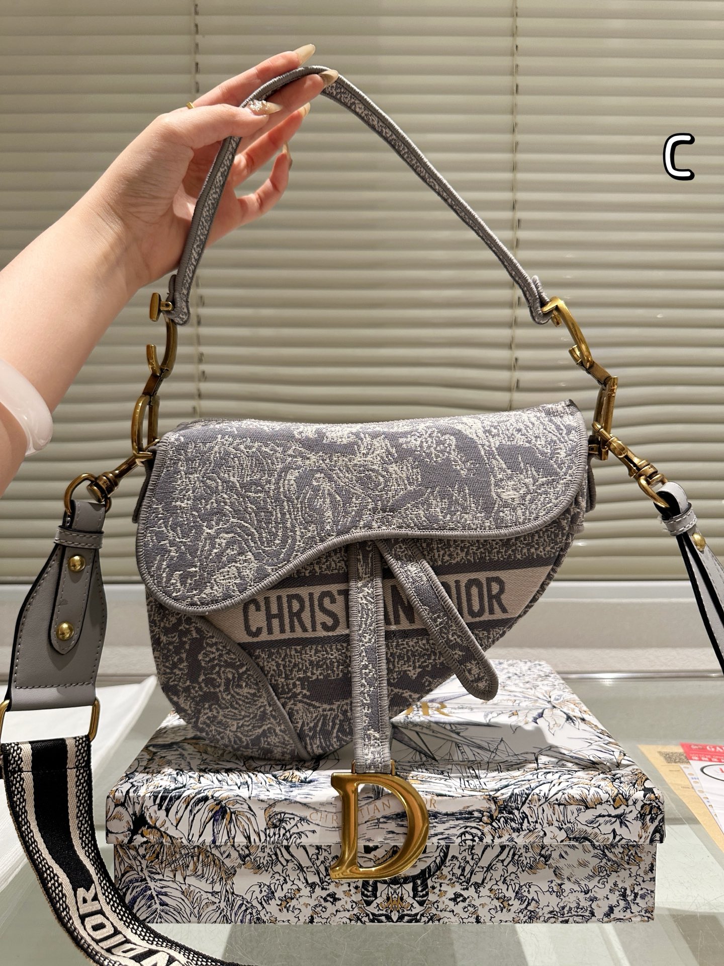 Dior Saddle Bag
