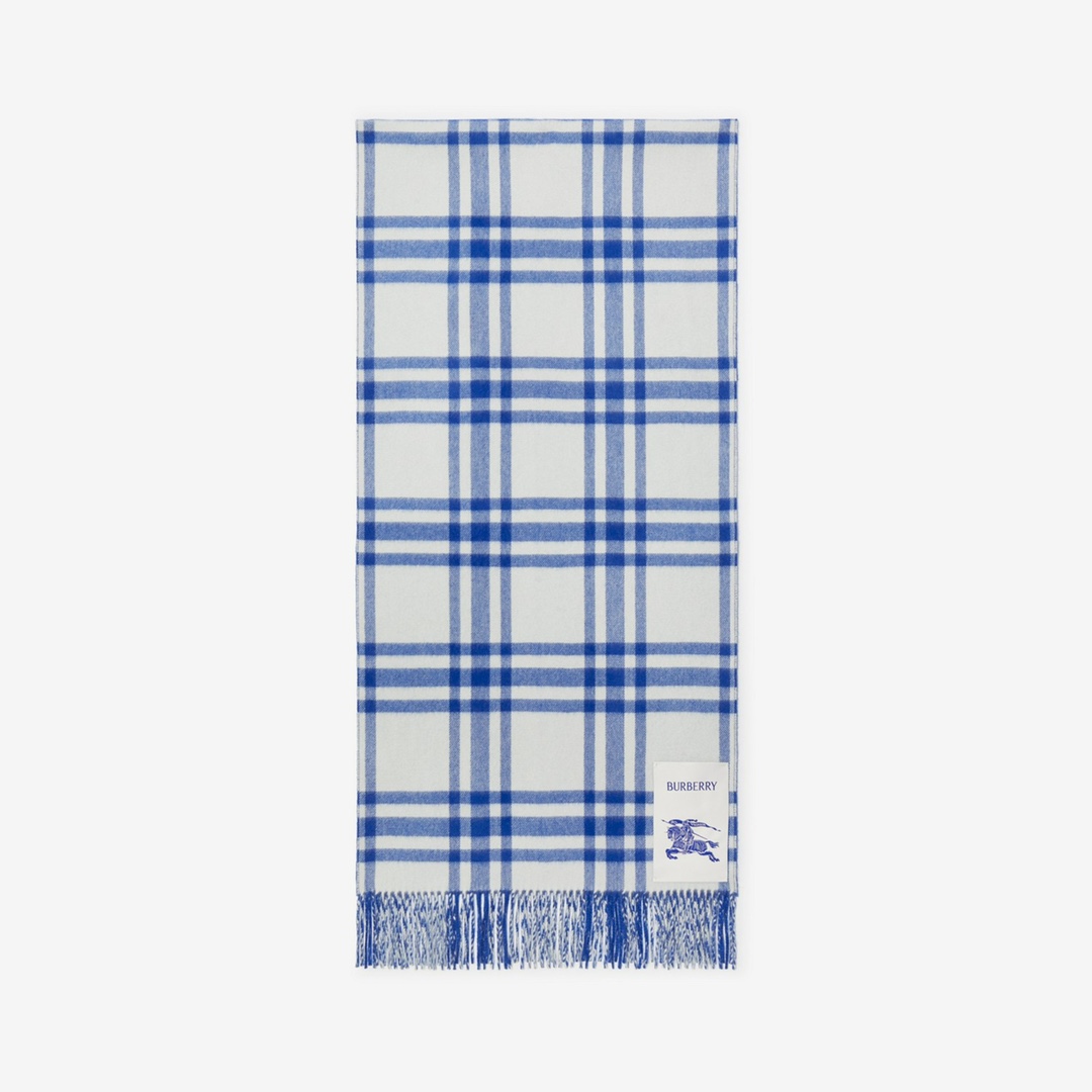 Burberry Scarves