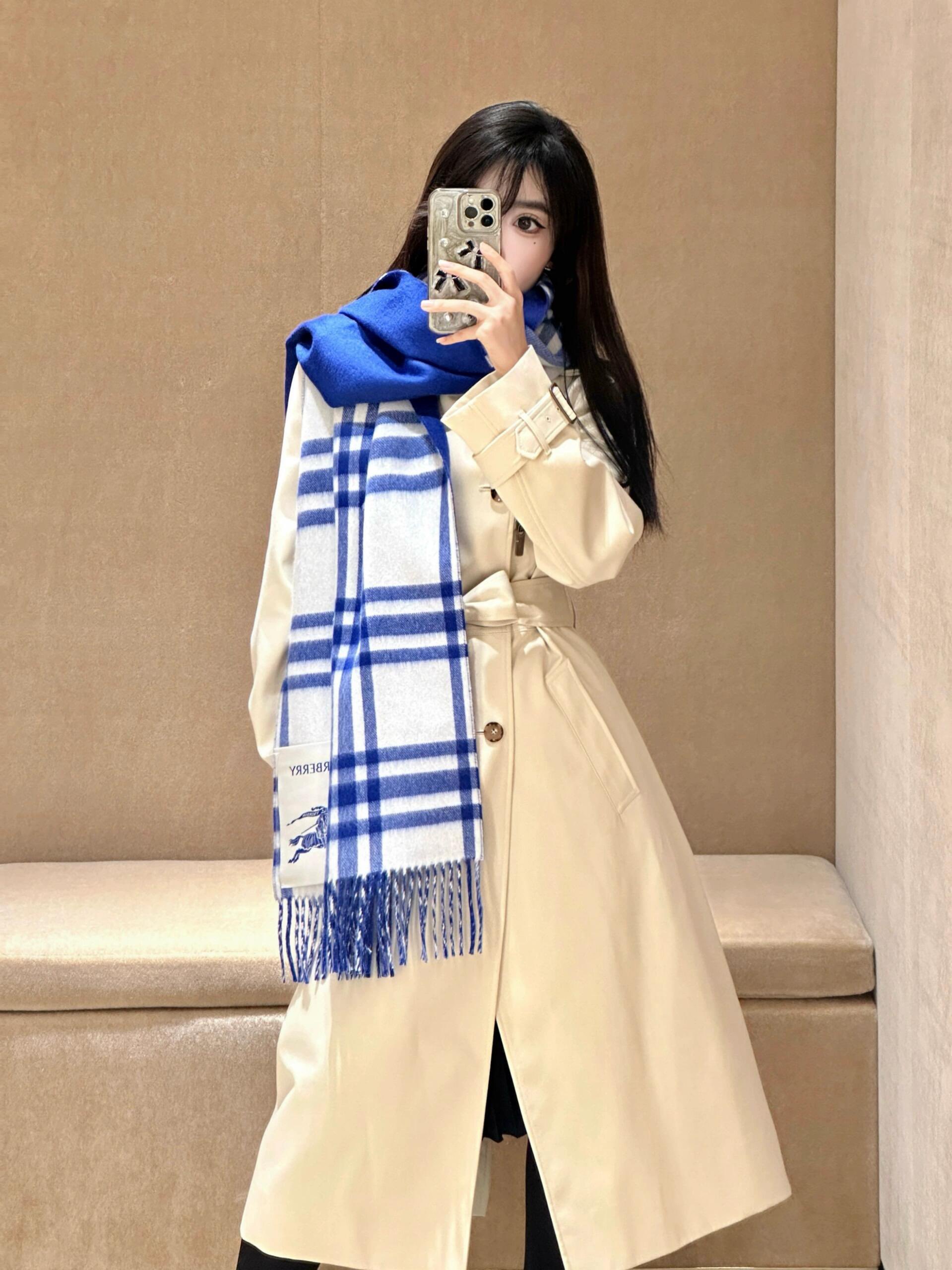 Burberry Scarves