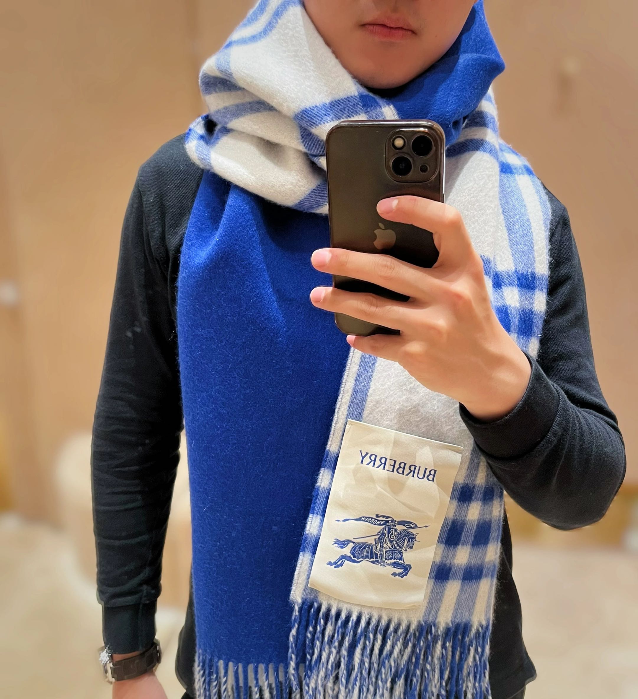 Burberry Scarves