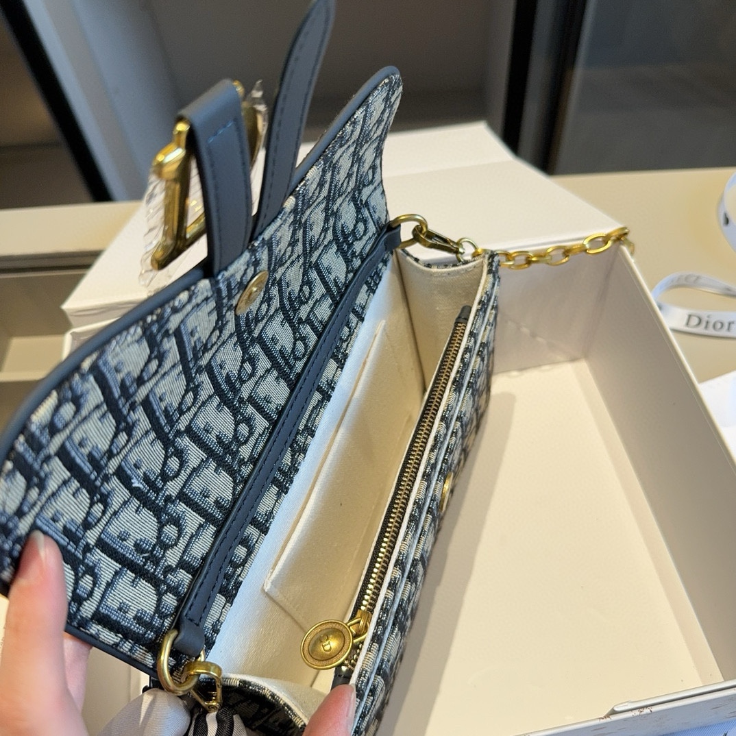 Dior Saddle Woc