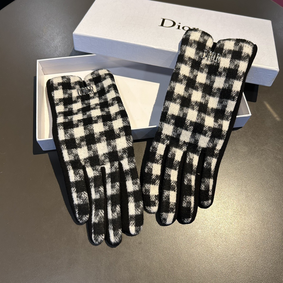 Dior Gloves