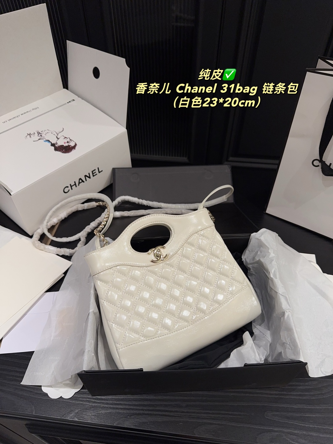 Chanel Nano 31 Handle Bag