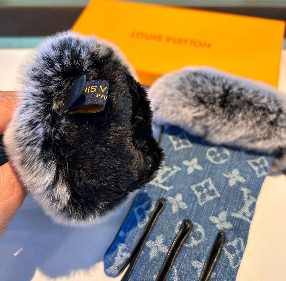 Louis Vuitton Gloves