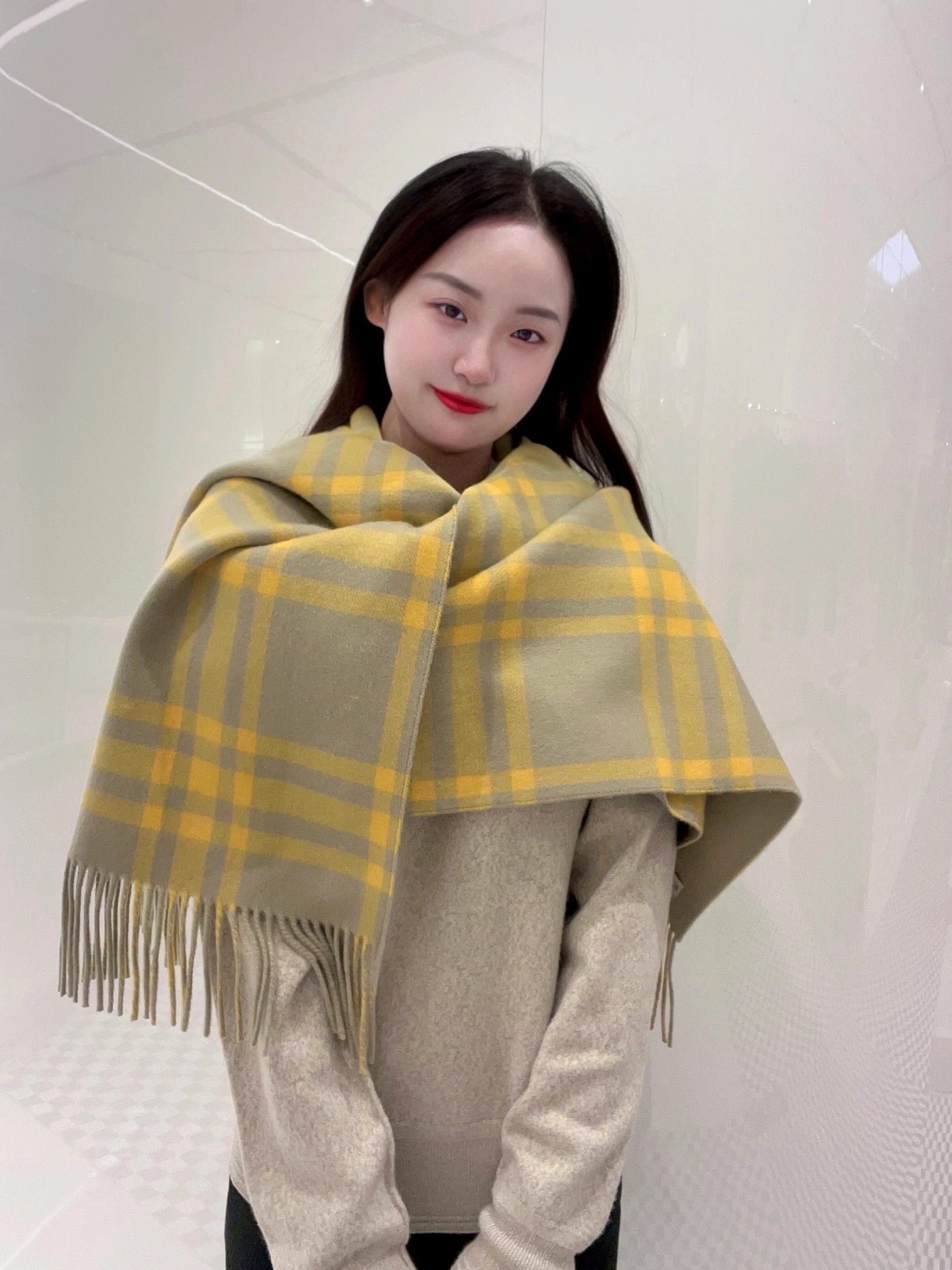 Burberry Scarves