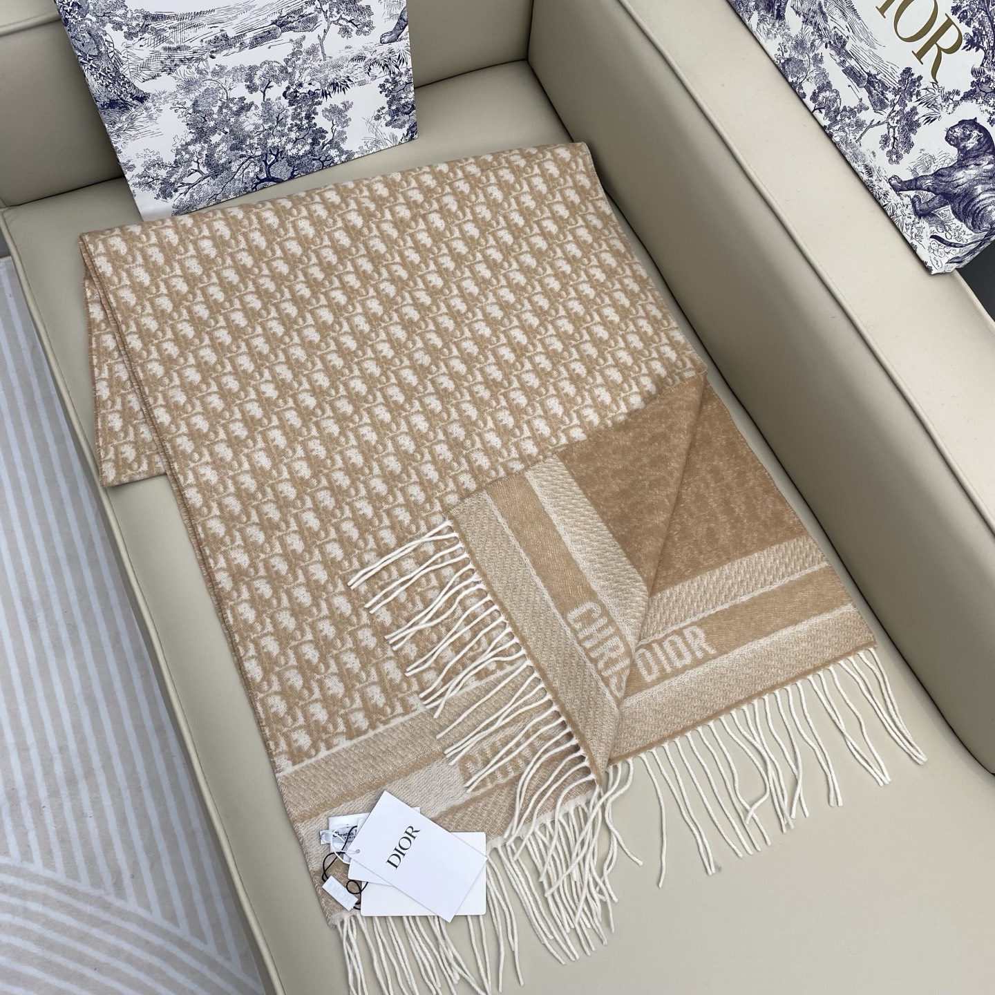 Dior Cashmere Scarf