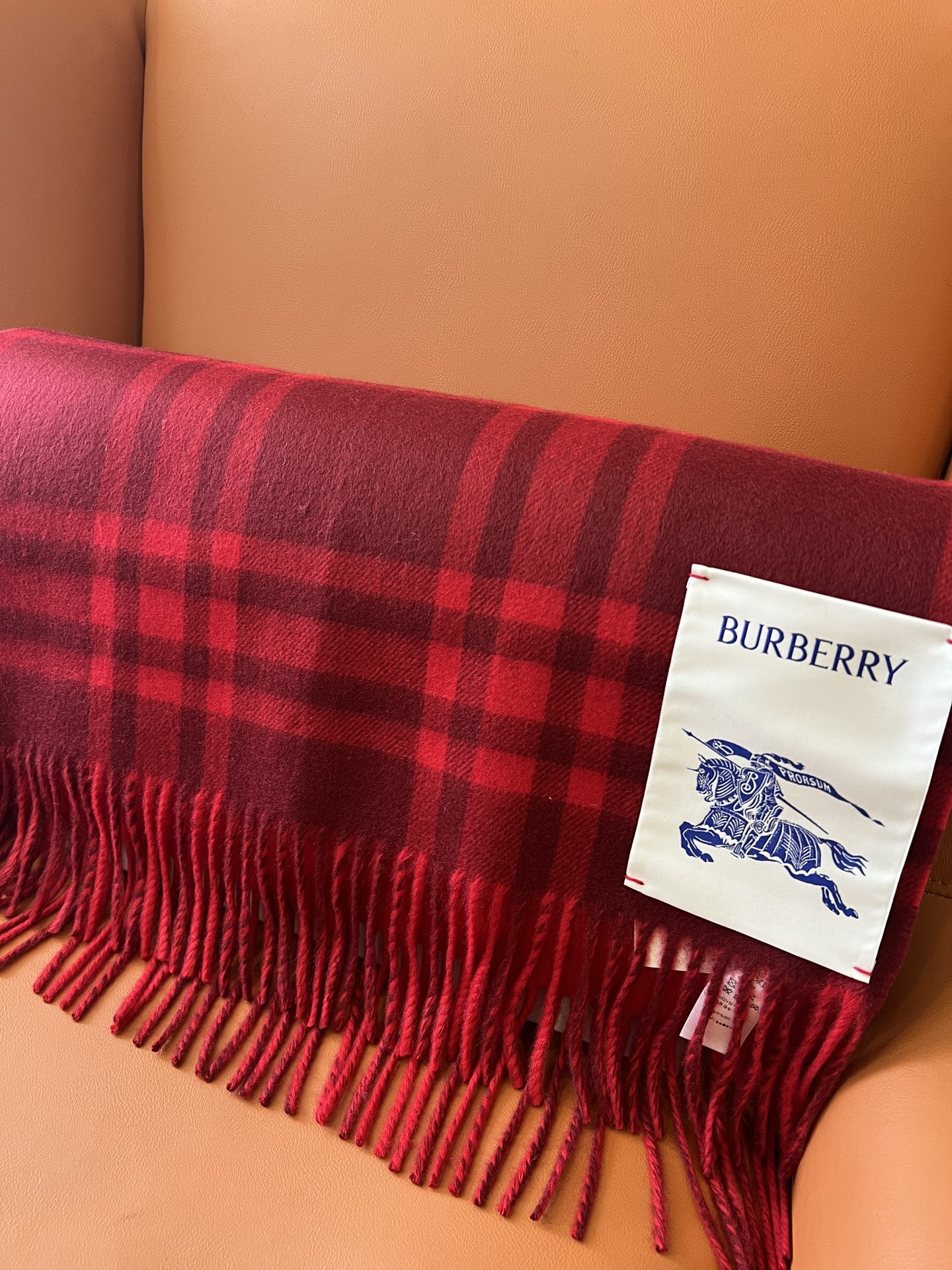 Burberry Scarves